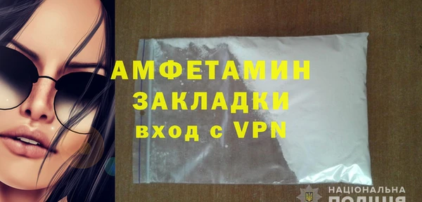 твердый Ельня