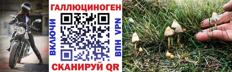 даркнет клад  Азнакаево  Псилоцибиновые грибы Magic Shrooms  закладка 